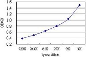 Sandwich ELISA detection sensitivity ranging from approximately 729x to 3x dilution of the ACO1 293T overexpression lysate (non-denatured). (ACO1 (Humain) Matched Antibody Pair)