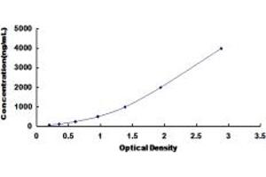 Typical standard curve (Haptoglobin Kit ELISA)