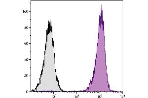 Human peripheral blood granulocytes were stained with Mouse Anti-Human CD11b-APC. (CD11b anticorps  (APC))