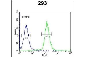 CDC45L Antibody (Center) (ABIN653837 and ABIN2843101) flow cytometric analysis of 293 cells (right histogram) compared to a negative control cell (left histogram). (CDC45 anticorps  (AA 236-263))