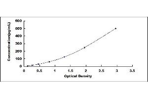 Typical standard curve (IL-1 beta Kit ELISA)