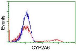 HEK293T cells transfected with either RC222995 overexpress plasmid (Red) or empty vector control plasmid (Blue) were immunostained by anti-CYP2A6 antibody (ABIN2455225), and then analyzed by flow cytometry. (CYP2A6 anticorps)