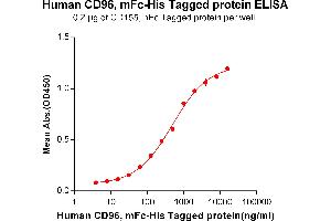 ELISA plate pre-coated by 2 μg/mL (100 μL/well) Human CD96, mFc-His tagged protein (ABIN6961101, ABIN7042231 and ABIN7042232) can bind Human CD155, hFc tagged protein ABIN6961168, ABIN7042365 and ABIN7042366 in a linear range of 62. (CD96 Protein (CD96) (AA 22-503) (mFc-His Tag))