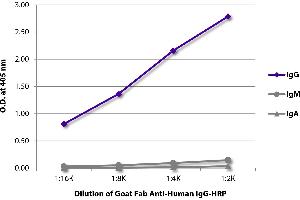 ELISA plate was coated with purified human IgG, IgM, and IgA. (Chèvre anti-Humain IgG (Heavy Chain) Anticorps (HRP))