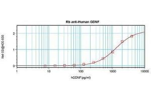 Image no. 1 for anti-Glial Cell Line Derived Neurotrophic Factor (GDNF) antibody (ABIN465722) (GDNF anticorps)