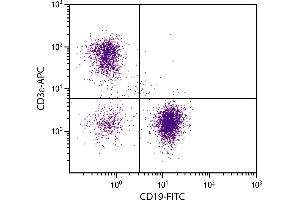 BALB/c mouse splenocytes were stained with Hamster Anti-Mouse CD3ε-APC. (CD3 epsilon anticorps  (APC))