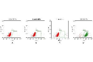FACS analysis of CD63 MNPs A. (CD63 Protein (CD63))