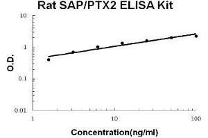 Rat SAP/PTX2 PicoKine ELISA Kit standard curve (APCS Kit ELISA)