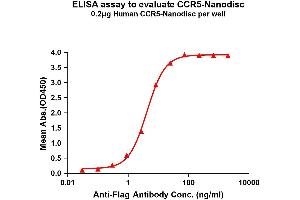 Elisa plates were pre-coated with Flag Tag -Nanodisc (0. (CCR5 Protéine)