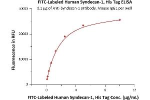 Immobilized Acan-1 antibody, Mouse IgG1 at 1 μg/mL (100 μL/well) can bind Fed Human Syndecan-1, His Tag (ABIN6973276) with a linear range of 0. (Syndecan 1 Protein (SDC1) (AA 23-254) (His tag,FITC))