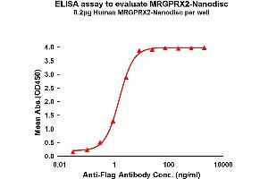 Elisa plates were pre-coated with Flag Tag MRG-Nanodisc (0. (MRGPRX2 Protéine)