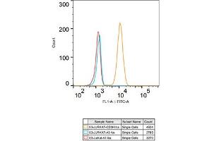 Flow cytometry: Jurkat cells were stained with Rabbit IgG isotype control (, 10 μg/mL, blue line) or CD3H Rabbit mAb (ABIN7266174, 10 μg/mL orange line), followed by goat anti-Rabbit pAb FITC (1:200 dilution) staining. (CD247 anticorps)