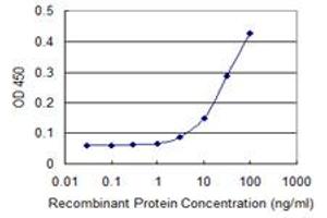 ELISA image for anti-Tubulin, beta (TUBB) (AA 1-445) antibody (ABIN599619) (TUBB anticorps  (AA 1-445))