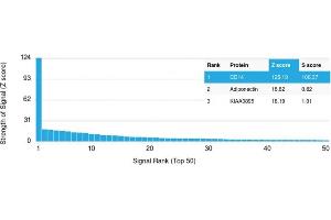 Specificity of ABIN6383875 to CD14 was tested on a human protein array, showing monospecificity against >19,000 full-length human proteins. (CD14 anticorps  (Extracellular Domain))