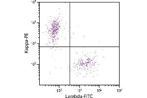 Flow Cytometry (FACS) image for Goat anti-Human lambda (Chain lambda) antibody (FITC) - Preadsorbed (ABIN376142)