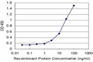 Detection limit for recombinant GST tagged SMAD7 is approximately 1ng/ml as a capture antibody. (SMAD7 anticorps  (AA 160-260))