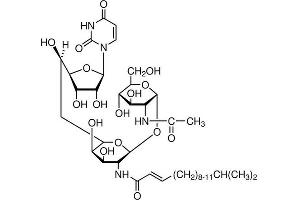 Chemical structure of Tunicamycin , a Autophagy inducer. (Tunicamycin)