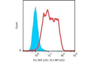 Surface staining of HT-29 cells with anti-CD324 (67A4) FITC. (E-cadherin anticorps  (FITC))