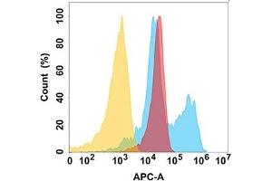 B7H6 protein is highly expressed on the surface of Expi293 cell membrane. (B7-H6 anticorps  (AA 25-262))