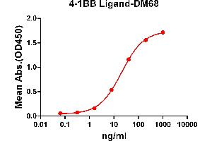 ELISA plate pre-coated by 2 μg/mL (100 μL/well) Human 4-1BB Ligand protein, mFc-His tagged protein ABIN6961118, ABIN7042265 and ABIN7042266 can bind Rabbit anti-4-1BB Ligand monoclonal antibody (clone: DM68) in a linear range of 1-100 ng/mL. (Recombinant TNFSF9 anticorps  (AA 52-254))
