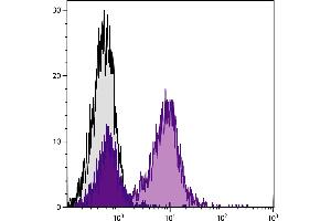 C57BL/6 mouse splenocytes were stained with Hamster Anti-Mouse CD79b-PE. (CD79b anticorps  (PE))