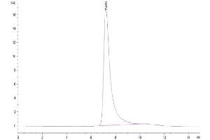 Size-exclusion chromatography-High Pressure Liquid Chromatography (SEC-HPLC) image for delta-Like 4 (DLL4) (AA 27-524) protein (His-Avi Tag,Biotin) (ABIN7274487)