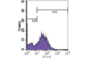 Flow Cytometry (FACS) image for anti-CD7 (CD7) antibody (FITC) (ABIN2144471) (CD7 anticorps  (FITC))