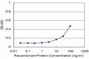 Detection limit for recombinant GST tagged TIE1 is approximately 1ng/ml as a capture antibody. (TIE1 anticorps  (AA 422-521))