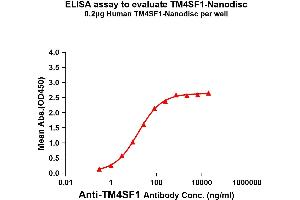 Elisa plates were pre-coated with Flag Tag TM4SF1-Nanodisc (0. (TM4SF1 Protéine)