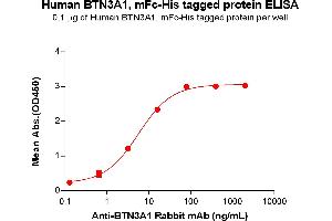 ELISA plate pre-coated by 1 μg/mL (100 μL/well) Human A1 protein, mFc-His Tag (ABIN6961119, ABIN7042267 and ABIN7042268) can bind Anti-A1 Rabbit mAb in a linear range of 3. (BTN3A1 Protein (AA 30-254) (mFc-His Tag))