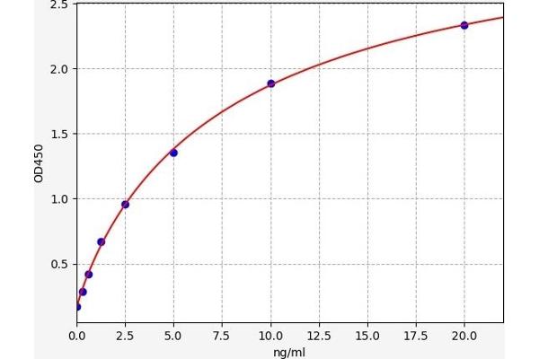 BTN2A1 Kit ELISA