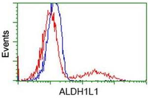 HEK293T cells transfected with either RC213720 overexpress plasmid (Red) or empty vector control plasmid (Blue) were immunostained by anti-ALDH1L1 antibody (ABIN2452743), and then analyzed by flow cytometry. (ALDH1L1 anticorps)