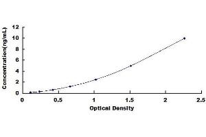 Typical standard curve (BDNF Kit ELISA)