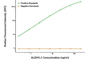 Luminex Assay (LMNX) image for anti-Aldehyde Dehydrogenase 1 Family, Member L1 (ALDH1L1) antibody (ABIN2715906) (ALDH1L1 anticorps)