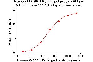 ELISA plate pre-coated by 2 μg/mL (100 μL/well) Human R, His tagged protein ABIN6961125, ABIN7042279 and ABIN7042280 can bind Human M-CSF, hFc Tagged protein(ABIN7092715, ABIN7272254 and ABIN7272255) in a linear range of 0. (M-CSF/CSF1 Protein (AA 33-255) (Fc Tag))