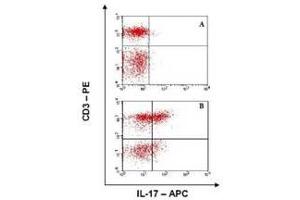 Image no. 1 for anti-Interleukin 17A (IL17A) antibody (APC) (ABIN230413) (Interleukin 17a anticorps  (APC))