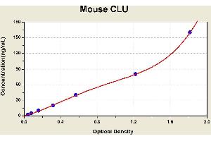 Diagramm of the ELISA kit to detect Mouse CLUwith the optical density on the x-axis and the concentration on the y-axis. (Clusterin Kit ELISA)