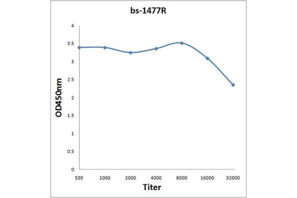 ARFIP1 anticorps  (AA 255-373)