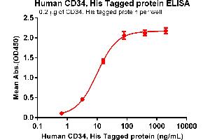 ELISA plate pre-coated by 2 μg/mL (100 μL/well) Human CD34 Protein, His Tag (ABIN6961155, ABIN7042339 and ABIN7042340) can bind Anti-CD34 antibody(DM134), Rabbit mAb in a linear range of 0. (CD34 Protein (CD34) (AA 32-290) (His tag))