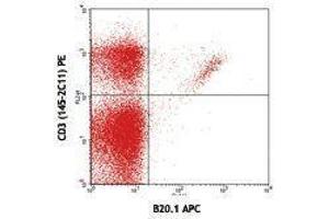 Flow Cytometry (FACS) image for anti-V alpha 2 TCR antibody (APC) (ABIN2658831) (V alpha 2 TCR anticorps (APC))