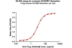 Elisa plates were pre-coated with Flag Tag SC-Nanodisc (0. (SCARB1 Protéine)