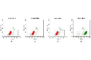 FACS analysis of CD20 MNPs A. (CD20 Protéine)