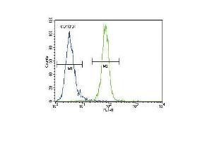 AKT1 Antibody (N-term) h flow cytometric analysis of MDA-M cells (right histogram) compared to a negative control cell (left histogram). (AKT1 anticorps  (N-Term))
