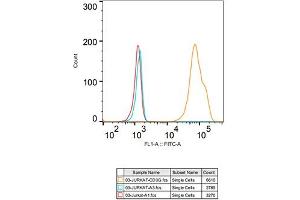 Flow cytometry: Jurkat cells were stained with Rabbit IgG isotype control (, 2. (CD3G anticorps)