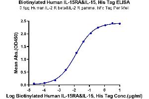 Immobilized Human IL-2 R beta&IL-2 R gamma, hFc Tag at 1 μg/mL (100 μL/well) on the plate. (IL-15/IL-15R (AA 31-108) protein (His tag,Biotin))