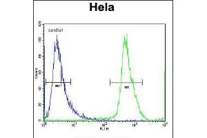 Flow cytometric analysis of Hela cells (right histogram) compared to a negative control cell (left histogram). (NUP35 anticorps  (C-Term))