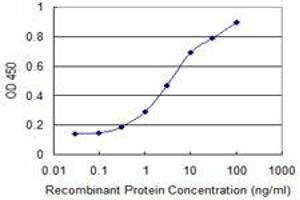 Detection limit for recombinant GST tagged IL4R is 0. (IL4 Receptor anticorps  (AA 26-135))