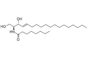 Molecule (M) image for C8 Ceramide (ABIN5022863)