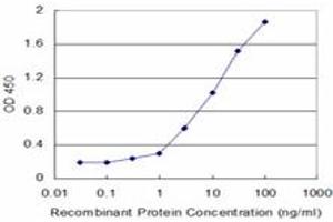 Detection limit for recombinant GST tagged HK2 is approximately 0. (Hexokinase 2 anticorps  (AA 818-917))