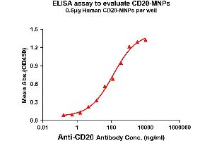 Elisa plates were pre-coated with 0. (CD20 Protéine)